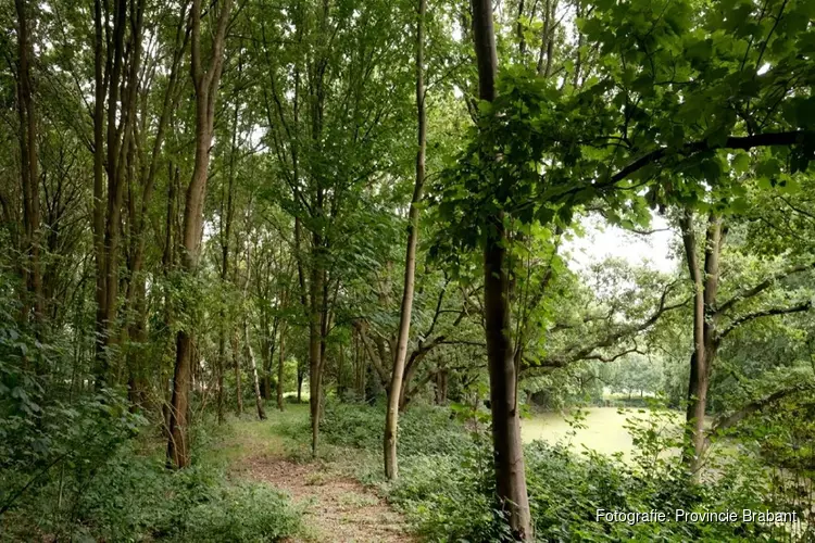 Uit de startblokken met Actieplan Brabantse Bomen