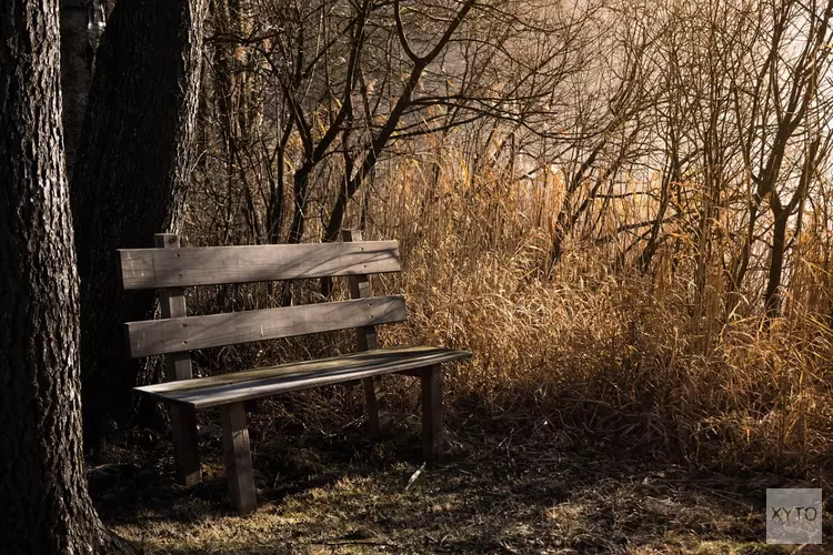 Herfstweek begint droog en zonnig, maar eindigt met buien